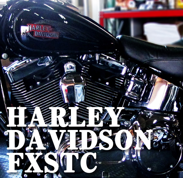 HARLEY-DAVIDSON FLSTSC TRIKE